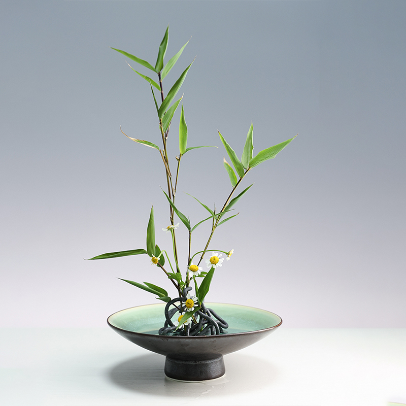Japanse Ikebana Kenzan Bloempo - Flower Frog Pin recensie en prijs
