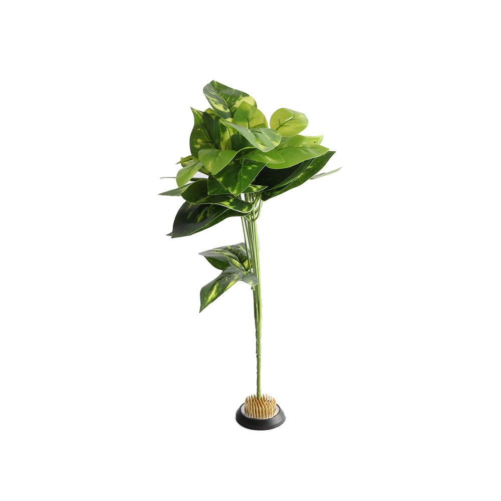 Rubberen Kenzan Stekelige Naal - Flower Frog Pin recensie en prijs